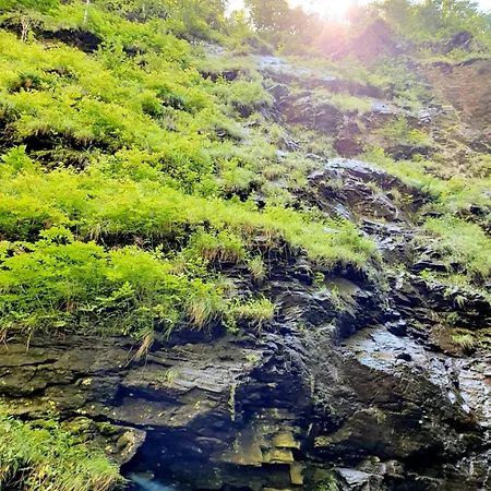 In Moelltal